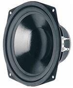 WS 17 E - 8 OHM参考图片